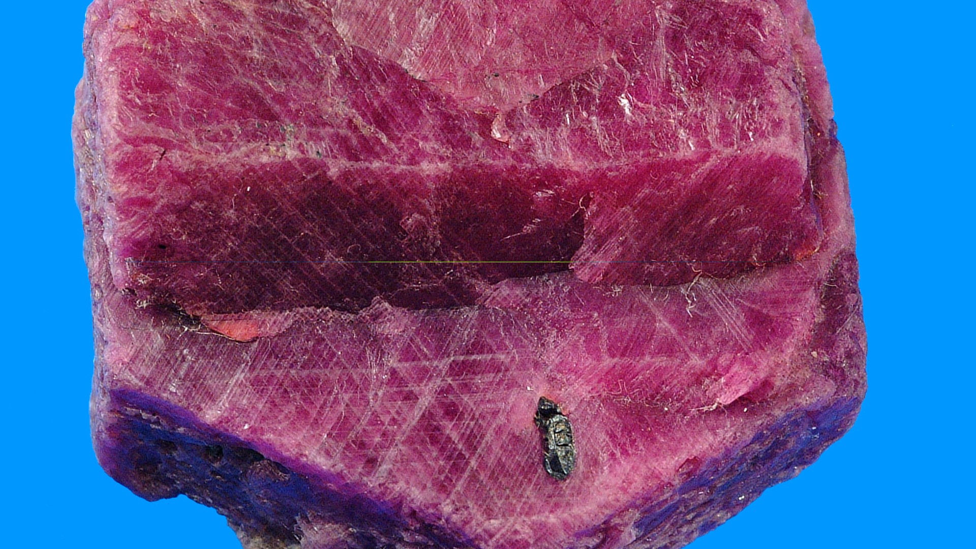 Large opaque pinkish-red, roughly hexagonal ruby crystal with worn striated faces against a bright blue background.